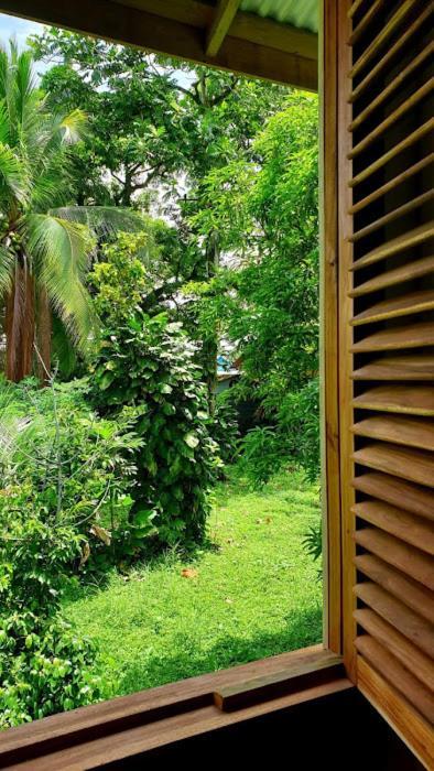 Old Bocasso Hostel Bocas Town Exterior photo